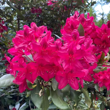 La Casa Bed & Breakfast 3*